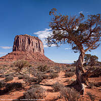 Buy canvas prints of Monument Valley #5 by Peter O'Reilly