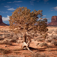Buy canvas prints of Monument Valley #2 by Peter O'Reilly