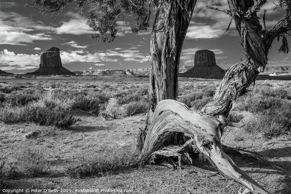 Monument Valley #3 Framed Print by Peter O'Reilly