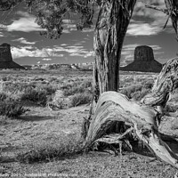 Buy canvas prints of Monument Valley #3 by Peter O'Reilly