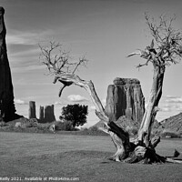 Buy canvas prints of Monument Valley #8 by Peter O'Reilly