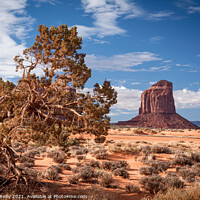 Buy canvas prints of Monument Valley #1 by Peter O'Reilly