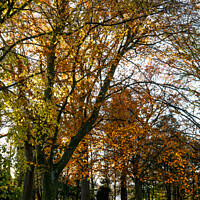 Buy canvas prints of Autumn scenes, Merthyr Tydfil, South Wales, UK. by Andrew Bartlett