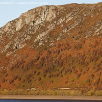 Buy canvas prints of Autumn colours at Elan Valley, Mid Wales, UK. by Andrew Bartlett