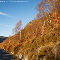 Buy canvas prints of Autumn colours at Elan Valley, Mid Wales, UK. by Andrew Bartlett