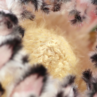 Buy canvas prints of  Macro of Protea 'Pink Ice flower. by Andrew Bartlett