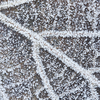 Buy canvas prints of Frozen leaf. by Andrew Bartlett