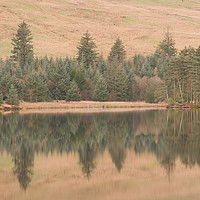 Buy canvas prints of Cantref Reservoir, South Wales, UK. by Andrew Bartlett