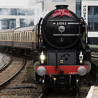 Buy canvas prints of 60161 Tornado arrives in Cardiff, UK. by Andrew Bartlett