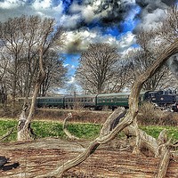 Buy canvas prints of Steam engine in spring by Framemeplease UK