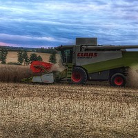 Buy canvas prints of Harvest time on the farm  by Framemeplease UK
