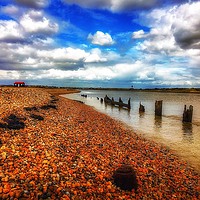 Buy canvas prints of Rye harbour nature reserve with the lonely beach h by Framemeplease UK