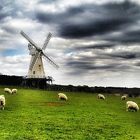 Buy canvas prints of Woodchurch in the Spring  by Framemeplease UK