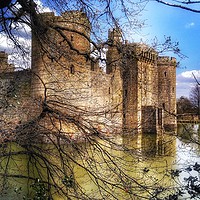 Buy canvas prints of Castle through the trees  by Framemeplease UK