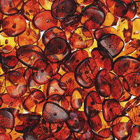 Buy canvas prints of Amber  # 9118 by Andrey  Godyaykin