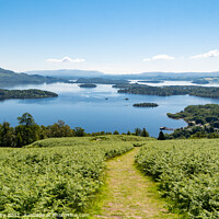 Buy canvas prints of Loch Lomond from the Luss Hills by Kay Roxby