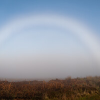 Buy canvas prints of Fog Bow - Scotland, UK by Kay Roxby
