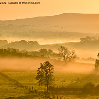 Buy canvas prints of Campsie Fells autumn sunrise by Kay Roxby