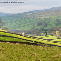 Buy canvas prints of Yorkshire Dales by Kay Roxby