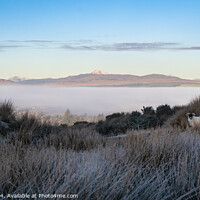 Buy canvas prints of Ben Lomond from the Campsies by Kay Roxby