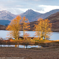 Buy canvas prints of Loch Arklet Scotland sunrise by Kay Roxby