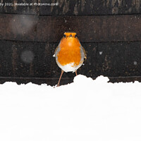 Buy canvas prints of Robin in snow by Kay Roxby
