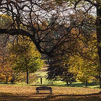 Buy canvas prints of A seat with a view by Stephen Giles