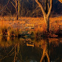 Buy canvas prints of Sunset bench by Stephen Giles