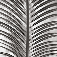 Buy canvas prints of  Monochrome leaves by Bertie Carter