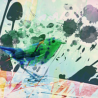 Buy canvas prints of Robin watercolour by Sebastien Coell