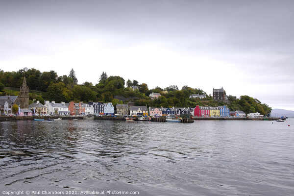 Tobermory Picture Board by Paul Chambers