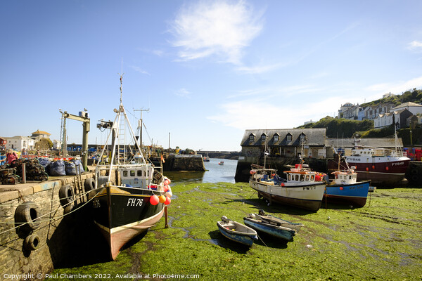 Mevagissey Harbour Picture Board by Paul Chambers