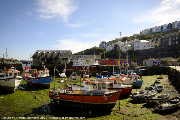 Enchanting Mevagissey Harbour Picture Board by Paul Chambers