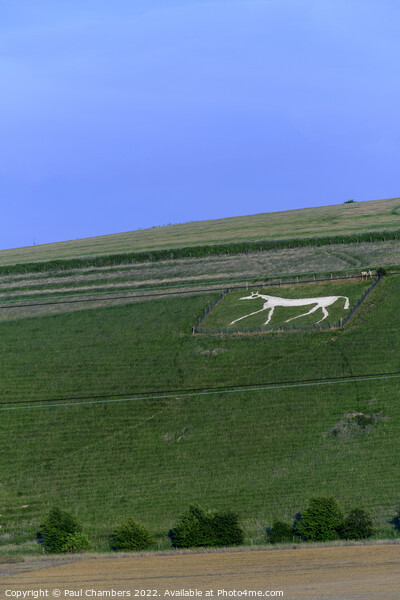The Alton Barnes white horse Picture Board by Paul Chambers