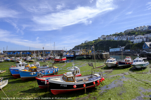 Sunshine over  Mevagissey Harbour Picture Board by Paul Chambers