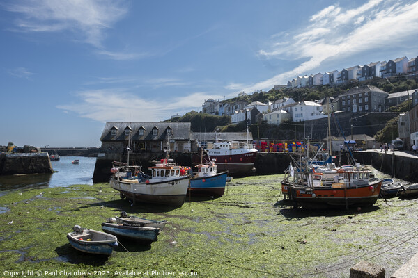 Serenity in Mevagissey Picture Board by Paul Chambers