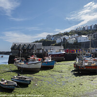 Buy canvas prints of Serenity in Mevagissey by Paul Chambers