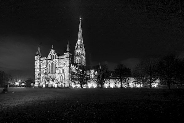 Salisbury Cathedral Floodlit Picture Board by Paul Chambers
