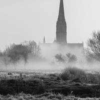 Buy canvas prints of  View of Salisbury Cathedral Mono by Paul Chambers