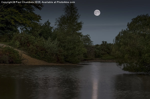  MoonLit Cadnam Pool New Forest Picture Board by Paul Chambers