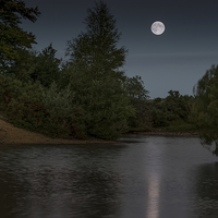 Buy canvas prints of  MoonLit Cadnam Pool New Forest by Paul Chambers