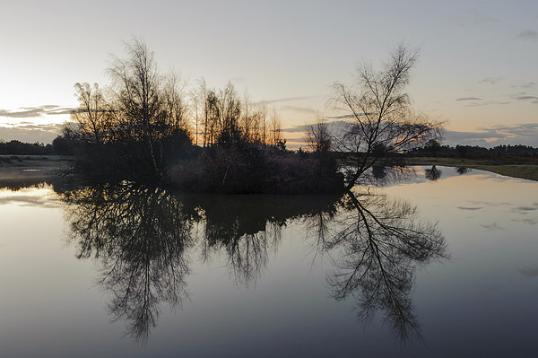 Serenity in the New Forest Picture Board by Paul Chambers