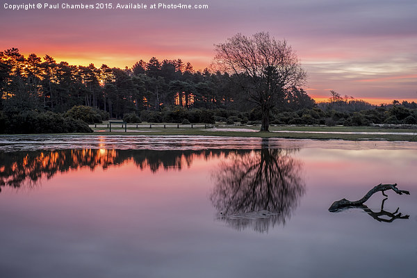 New Forest Sunrise Picture Board by Paul Chambers
