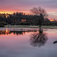 Buy canvas prints of New Forest Sunrise by Paul Chambers
