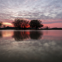 Buy canvas prints of Serene Sunset Over Janesmoor Pond by Paul Chambers