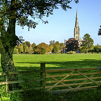 Buy canvas prints of Salisbury Cathedral by Paul Chambers