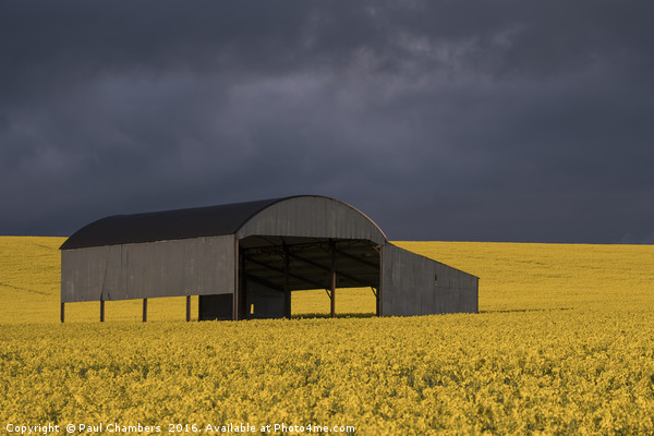 Barn in Rapeseed Picture Board by Paul Chambers