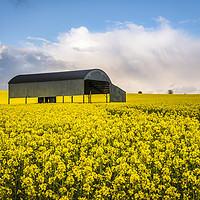 Buy canvas prints of Barn in Rapeseed by Paul Chambers