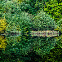 Buy canvas prints of Colourful Reflection by Paul Chambers
