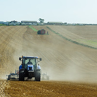 Buy canvas prints of Grass Cutting by Paul Chambers